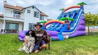 My Dogs React to a GIANT Waterslide  The Funny Farm [upl. by Abekam]