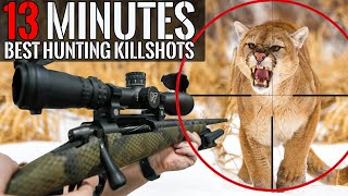 BEST HUNTING KILL SHOTS in 13 MINUTES [upl. by Nyladnor]