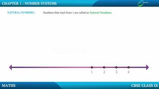 Number SystemsType of Numbers [upl. by Bibah801]