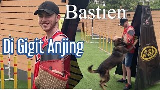 BASTIEN NGGAK TAKUT DI GiGiT ANJING HERDER [upl. by Yelwah]