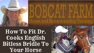 How to fit Dr Cooks English Bitless Bridle to your horse [upl. by Mayer490]