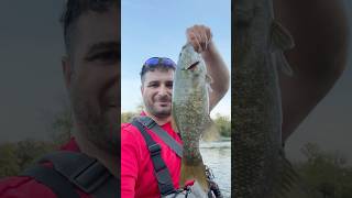 Desire Achieve success in catching big Fox River smallmouth [upl. by Yhtac]