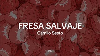 Fresa salvaje  Camilo Sesto  Letra [upl. by Hahnert]