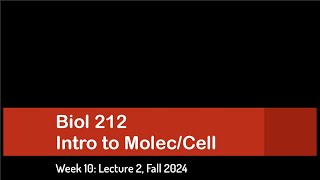 CSULB Biol 212 Fall 2024  Week 10 Lecture 2 [upl. by Ardnoek]