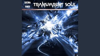 TRANSPARENT SOUL [upl. by Ardell]