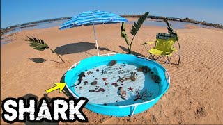 DIY Saltwater Fish Pond At The Beach With A Shark [upl. by Nothsa]