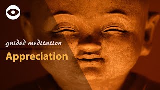 Appreciation Meditation  Guided Meditation Law of Attraction  Teaching [upl. by Hauge114]