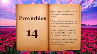 PROVERBIOS 14 [upl. by Ken]