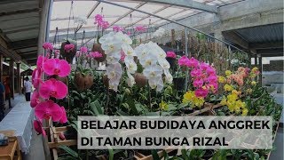 NET JABAR  BELAJAR BUDIDAYA ANGGREK DI TAMAN BUNGA RIZAL [upl. by Giorgi]