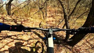 Riding the BEST condition trails  50km Mountain bike adventure [upl. by Horn]