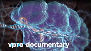 Hack your DNA with CRISPR  VPRO documentary  2018 [upl. by Richey]