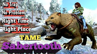 How To Tame Sabertooth  ARK Mobile  Hindi [upl. by Nairadal]