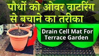 बारिश में पौधों को ओवर वाटरिंग से बचाने का तरीका  Drainage Mat or Drain Cell Mat For Terrace Garden [upl. by Atalanti]