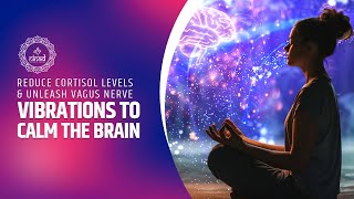 Sound Vibrations to Calm the Brain and Reduce Cortisol Levels  Unleash the Vagus Nerve [upl. by Hannah]