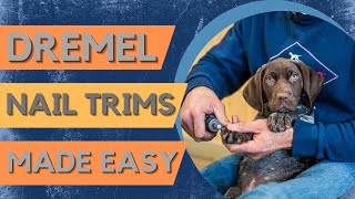 How To Use A Dremel Nail Grinder To Properly Trim Your Puppys Nails [upl. by Asirralc151]