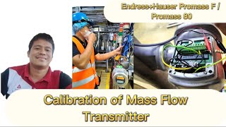 Endress  Hauser  Promass F  Promass 80  Simulation  Calibration  Tagalog Tutorial [upl. by Woodruff]