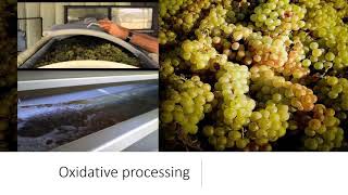 Oxygen Management 1 White Wine Reductive Vs Oxidative 2021 [upl. by Belldas]