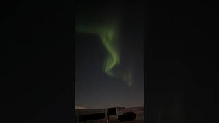 Breathtaking Northern Lights in wintry Iceland  Aurora Borealis Tour 2022 shorts polarlights [upl. by Netta]