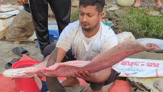 Rare Challenging 17 Kg Chital Fish Cutting By Fish Cutter Experts  Fish Cutting Skills [upl. by Assennav773]