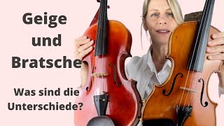 Unterschiede zwischen Geige und Bratsche 🎻 [upl. by Shermie151]