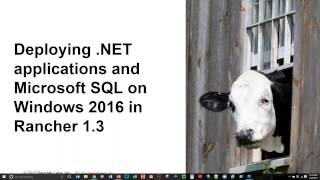 Getting Started with Windows Containers in Rancher  January 2017 Online Meetup [upl. by Balliett]