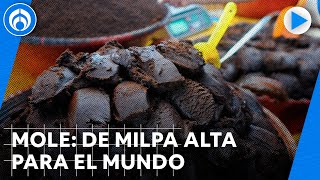 San Pedro Atocpan la tierra del mole y de la última molendera de CDMX [upl. by Sasha959]