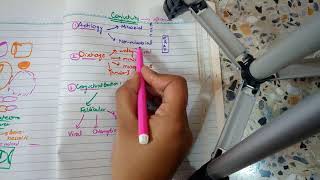 BACTERIAL CONJUNCTIVITIS part 1 MUCOPURULENT CONJUNCTIVITIS in easiest way [upl. by Ehrlich922]