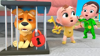 Bingo Babys First Pet  More Lalafun Nursery Rhymes and Kids Songs [upl. by Hogarth]