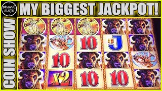 MY BIGGEST JACKPOT EVER on BUFFALO GOLD [upl. by Zerat]