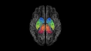 Disrupted basal ganglia–thalamocortical loops in focal to bilateral tonicclonic seizures [upl. by Housen958]