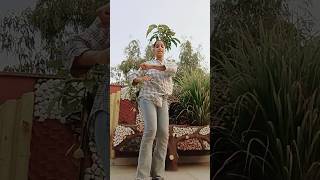 वायरलsong jan da dance daal bol [upl. by Anircam]