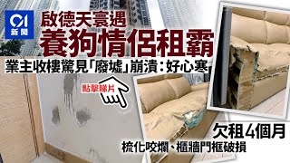 啟德天寰業主遇租霸欠租四個月 收樓後驚見變「廢墟」：好心寒 [upl. by Menashem]