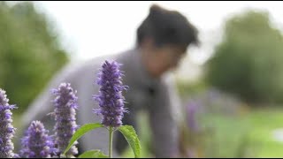 Marché fermier de lOise  le jardin aromatique de Valérie [upl. by Hullda]