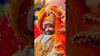 haarekasahara khatushyam devuthniekadashi babashyam ytshorts foryou foryoupage 🙏🏻🙏🏻 [upl. by Chapell]