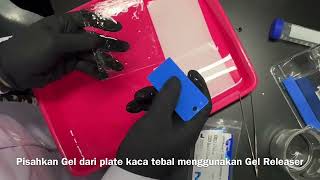 Workshop Western Blot [upl. by Enyalahs]