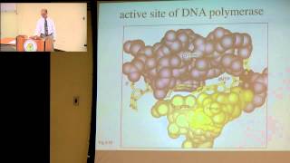 DNA Damage and Repair Pathways [upl. by Andromeda]