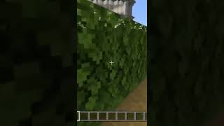 MINECRAFT MAZE minecraft maze minecraftbuilding gaming shorts [upl. by Ilke]