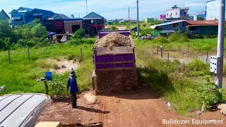 New Project On The 50M Road Dump Truck 5Ton Take Soil By Bulldozer Pushing Land Repair damaged Rond [upl. by Estas]