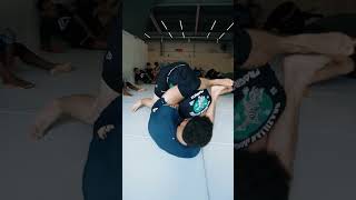 bjj jiujitsu jiu grappling nogi mma ufc jiujitsufighter oss bjjmotivation [upl. by Ssidnak]