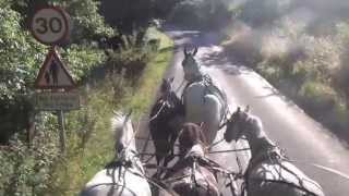 5 in hand carriage driving 4 ponies and a horse together [upl. by Vogeley]