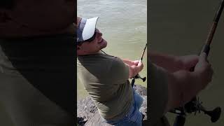 Big Rods Big Fish fishing fish bigfish outdoors sturgeon uglystik pennreels madkatz [upl. by Areht]