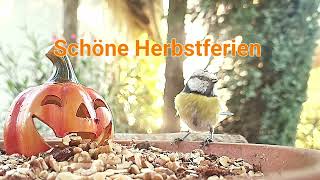 Schöne Herbstferien [upl. by Zink]