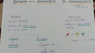 Antigens vs Immunogens vs Haptens  Immunology by Anandita Jha  Antigenicity And Immunogenicity [upl. by Hnad]