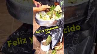 Ideas para Mini jardines con cactus y suculentas [upl. by Hy19]