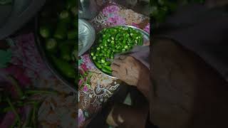 Mirchi ka achar [upl. by Yttel]