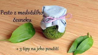 Pesto z medvědího česneku [upl. by Durnan]