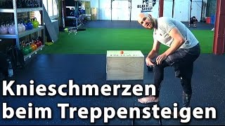 Knieschmerzen beim Treppensteigen [upl. by Nnaul]