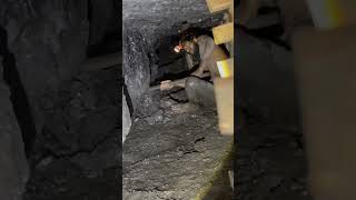 Coal Workers  Underground Mining ⛏️  Miners  Mines  Coal  Safety miners coalmining mining [upl. by Pepper103]