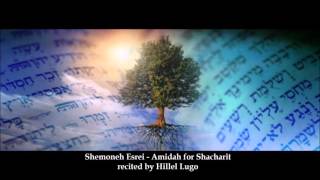 Shemoneh Esrei Amidah  Weekday Shacharit [upl. by Elatia]