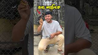 বন্য শালিক পাখির অবাক করা আচরণ birds funnyanimals ornofpets [upl. by Suoicerpal]